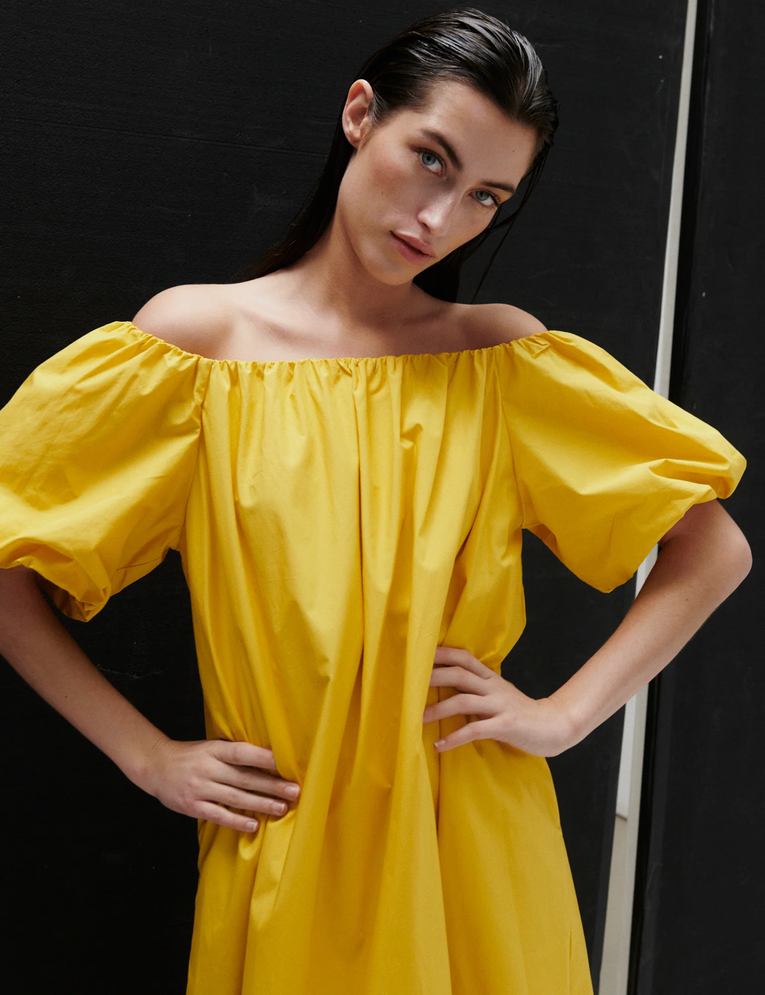 2ND Gia - Fine Crispy Poplin -Dress - Spicy Mustard - Image 4